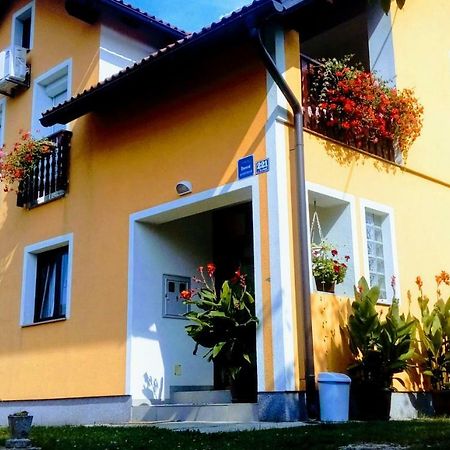 Apartment Medeni Rakovica Zewnętrze zdjęcie