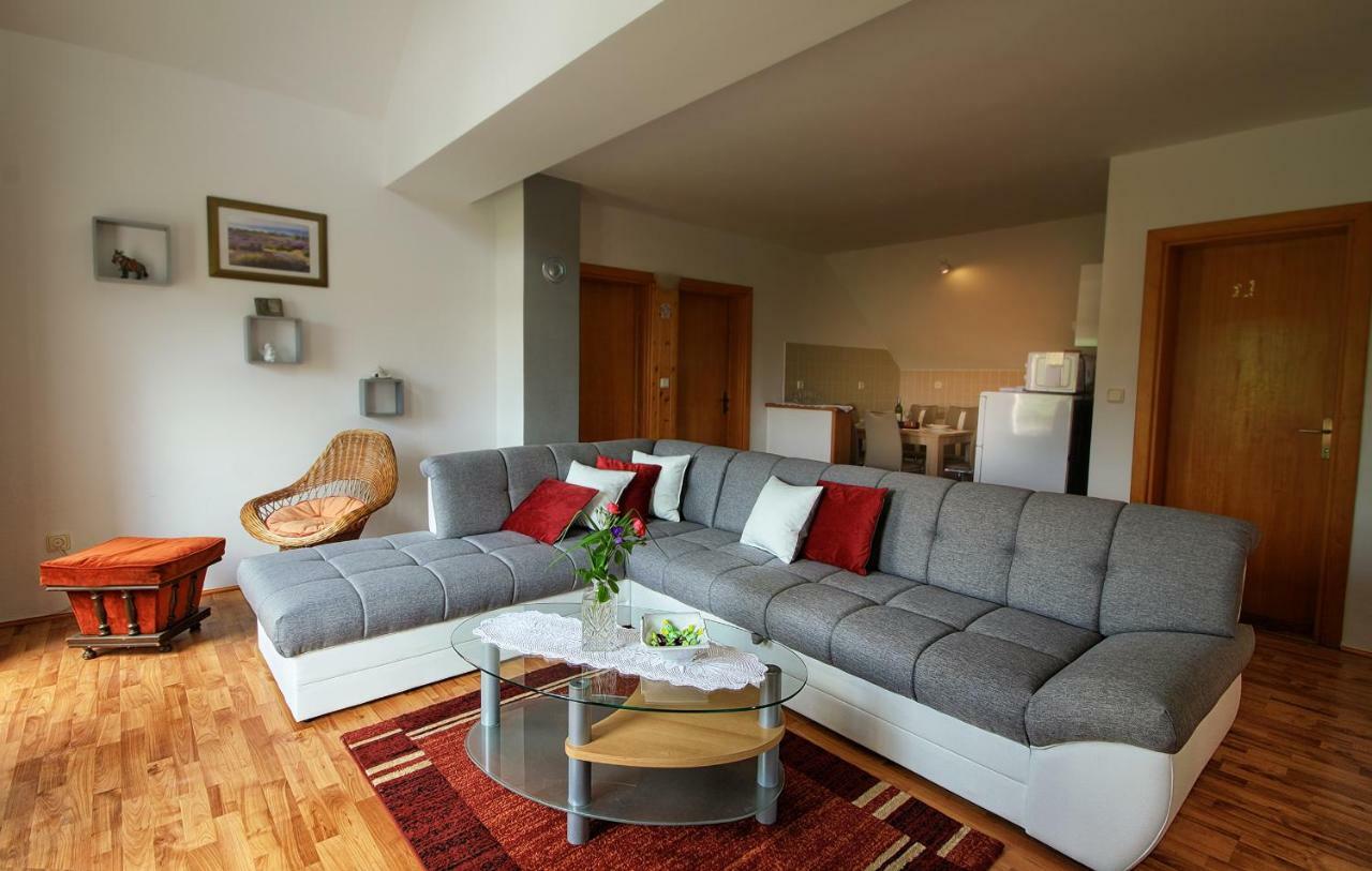 Apartment Medeni Rakovica Zewnętrze zdjęcie